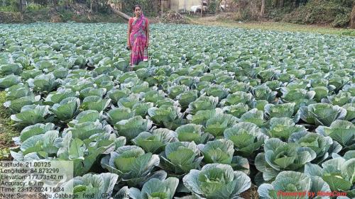 WhatsApp Image 2024-12-24 at 2.56.37 PM (1)