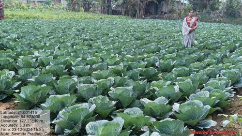 WhatsApp Image 2024-12-24 at 2.56.37 PM