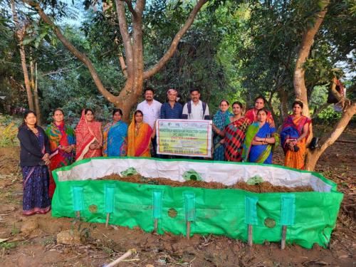 WhatsApp Image 2024-12-27 at 9.57.19 PM